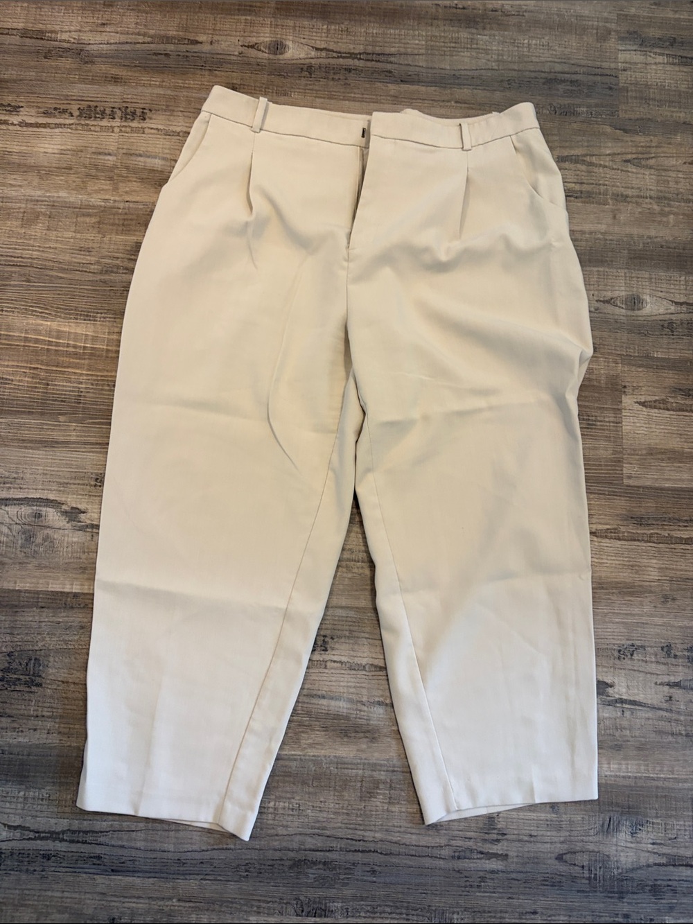 Zara cropped ankle trouser
 Dress Pants in Beige